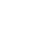 dot shape
